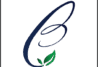 cropped 1c6181fe f504 4866 87ae b1d14767ba66.png